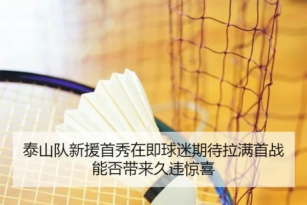 泰山队新援首秀在即球迷期待拉满首战能否带来久违惊喜